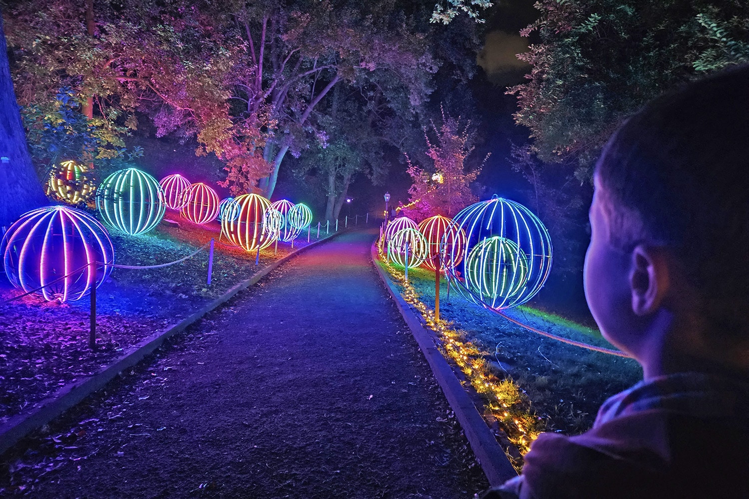 Trame di Luce 2024 con i bambini all'orto botanico di roma