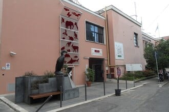 Museo Civico di Zoologia di Roma