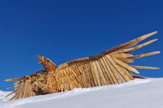 Aquila Buffaure Val di Fassa