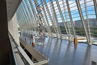 Museo delle Scienze Valencia, DNA