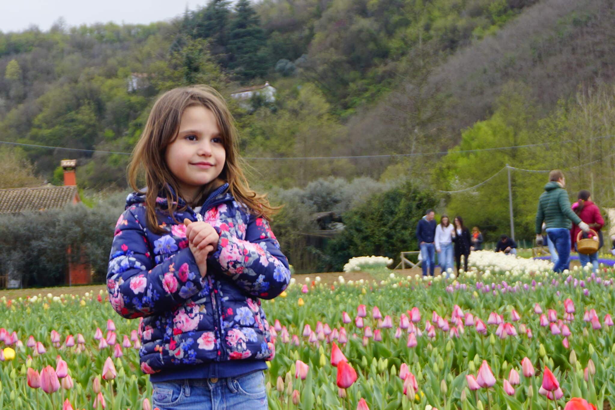 Tulipani Euganei: il campo di tulipani you-pick ai piedi dei Colli Euganei (PD)