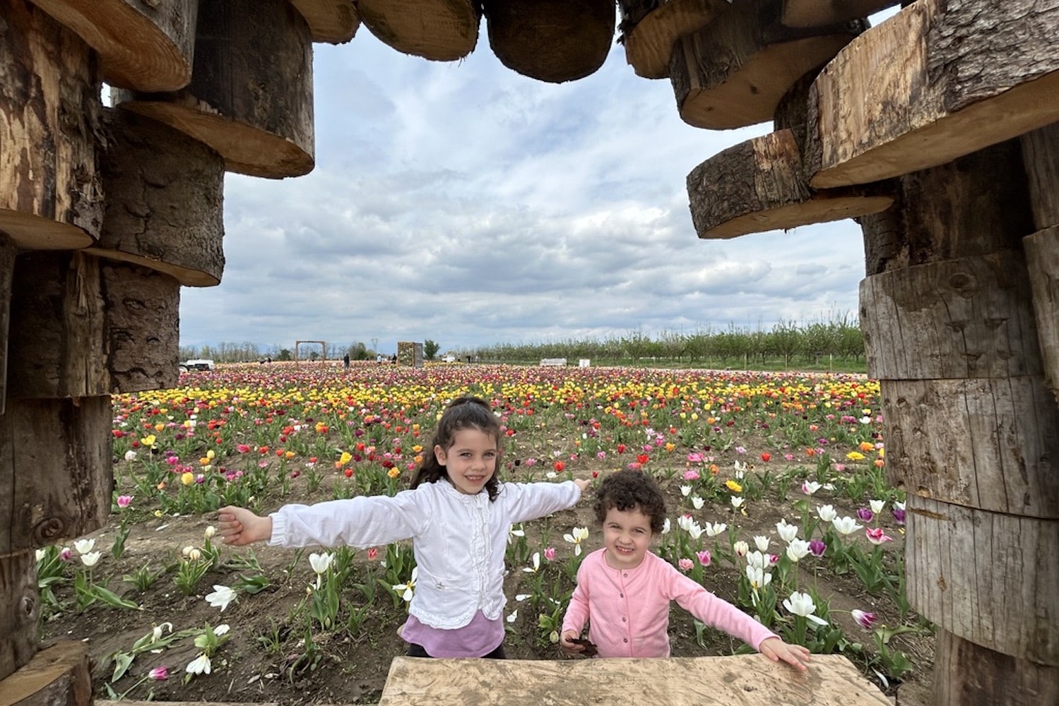 campi di tulipani di Nonno Andrea