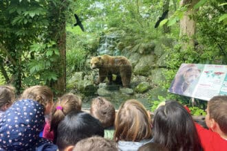 Giardino zoologico di Pistoia, orso