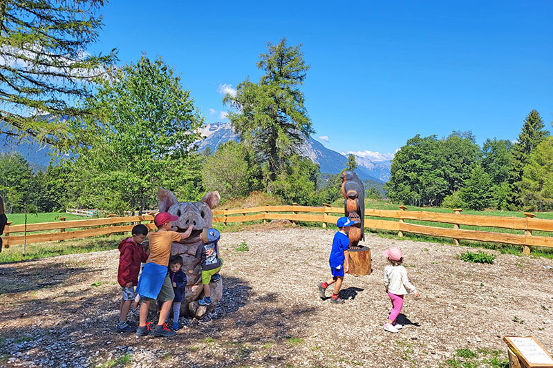 Sentiero del Drago Vaia da fare con i bambini