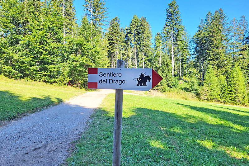 Sentiero del Drago Vaia da fare con i bambini