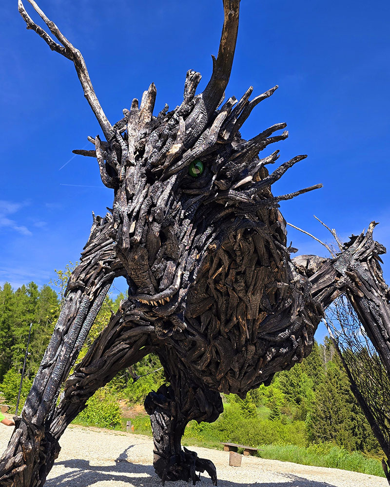 Drago Vaia Regeneration