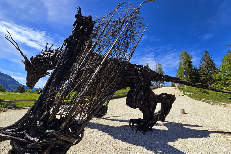 Drago Vaia Regeneration, il percorso