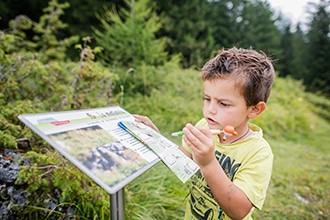 Sentiero Troi de Tieres animali del bosco A Selva di Val Gardena