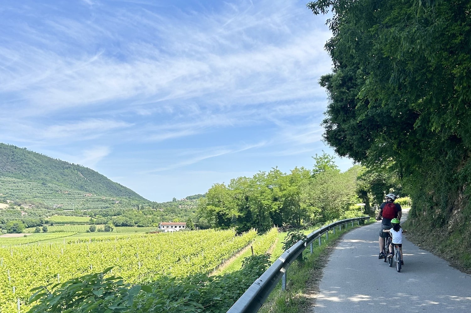 colli euganei in bici