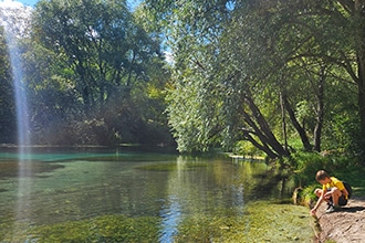 Salici sul Tirino