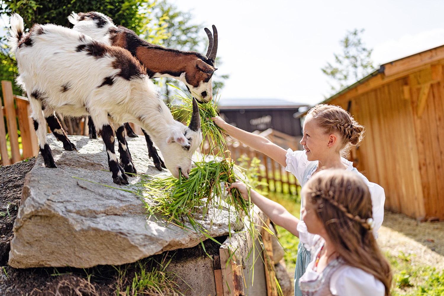 Zoo fattoria allo Schneeberg Resort in Alto Adige