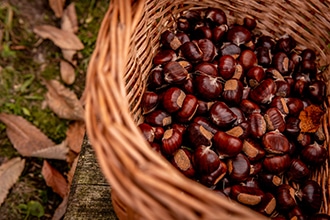 Castagne in Alpe Cimbra