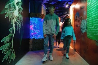 Gardaland SEA LIFE Aquarium: la nuova area tematizzata "Gli illusionisti del mare"