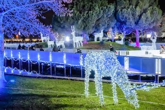 Torrejon_Parque-Magicas-Navidades_animali_luminosi