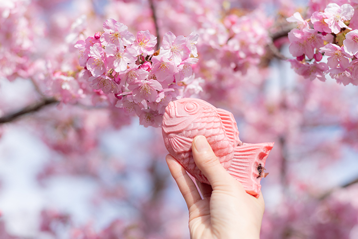 Taiyaki, dolcetto tipico giapponese a forma di pesce rosa