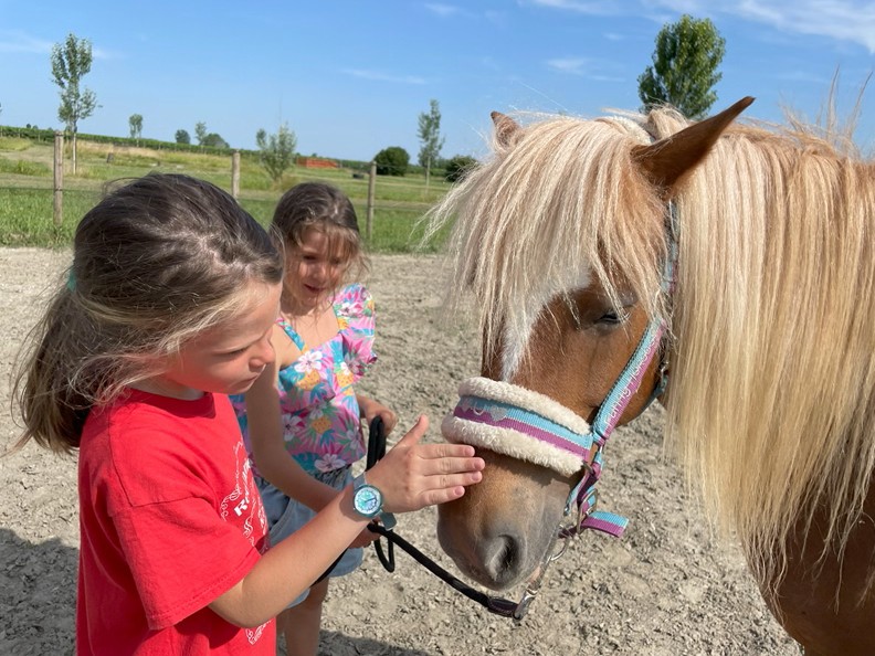 Labirinto di Lavanda Tenuta Va Oltre (Padova), attività con pony e cavalli
