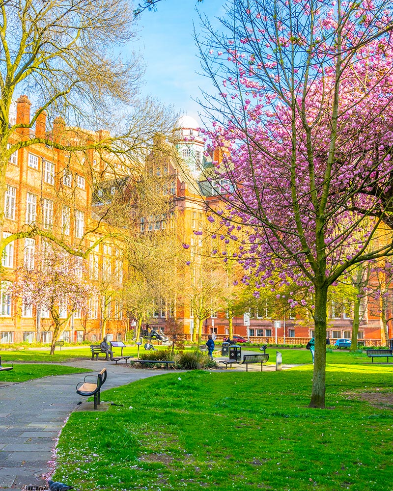 Sackville Gardens a Manchester