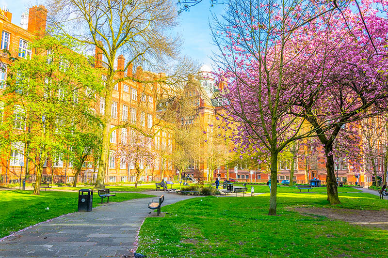 Sackville Gardens a Manchester