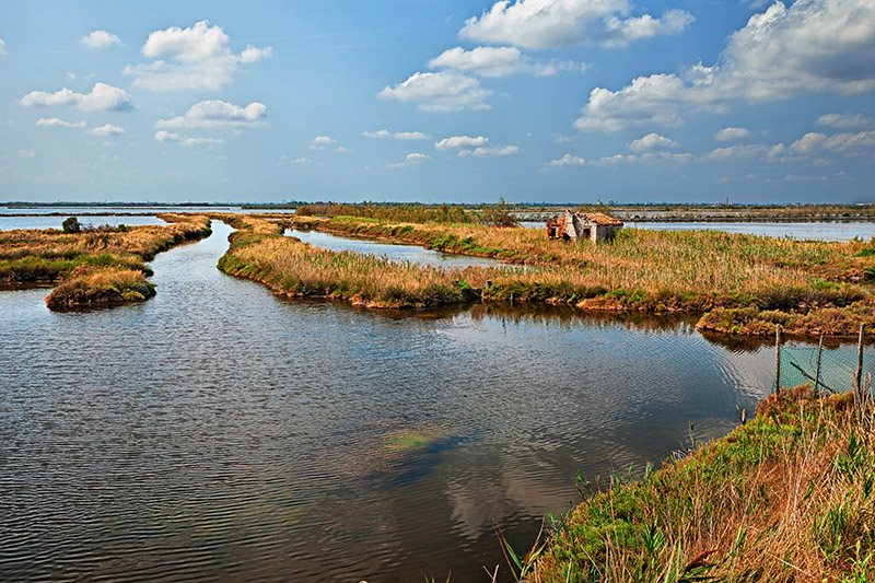 Parco del Delta del Po Veneto.