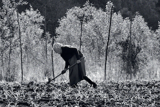 FUNNE IN CAMPO. Tra terra e radici a Baitoni