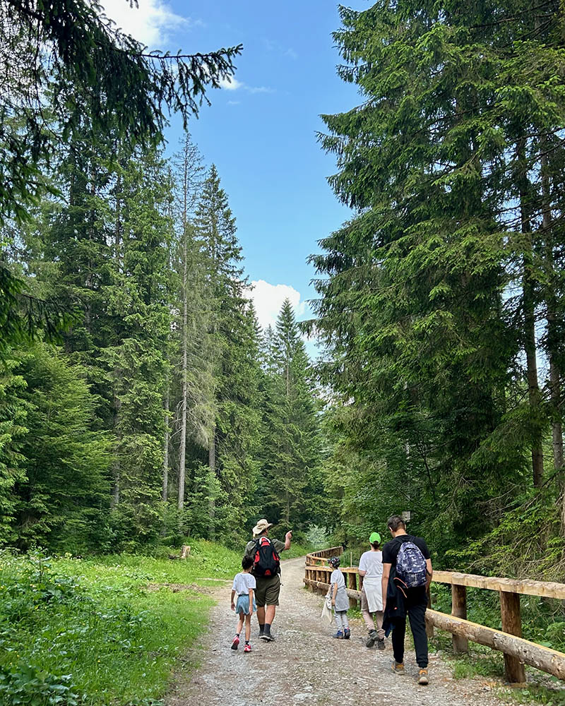 Fuga dal bosco, Sauris di Sopra