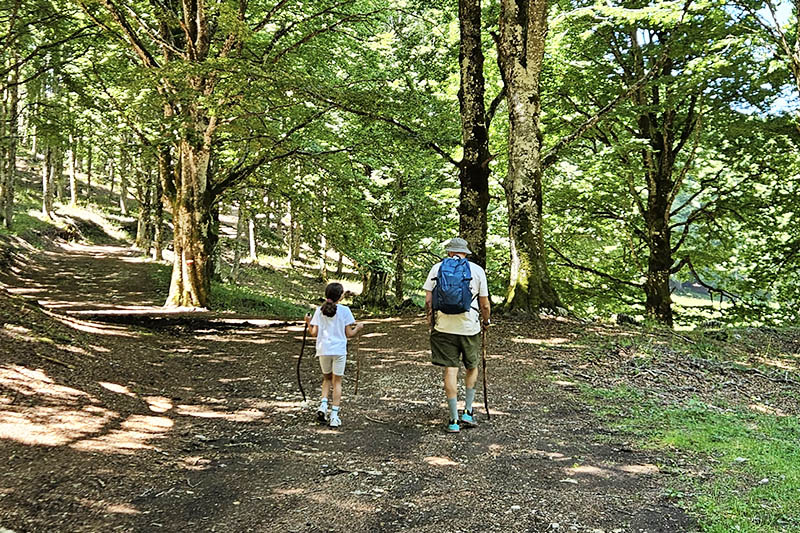 Sentiero a Campo dell'Osso uno dei posti più freschi da visitare con i bambini nel Lazio