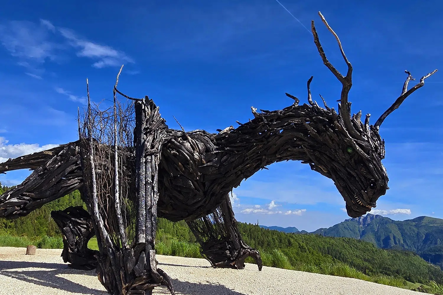 Drago Vaia Regeneration, percorso a tema per famiglie in Alpe Cimbra