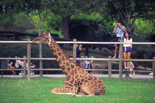 Lignano Sabbiadoro, attrazioni per bambini, parco zoo Punta Verde